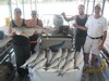 (05/05/2012) - Nice Striped Bass